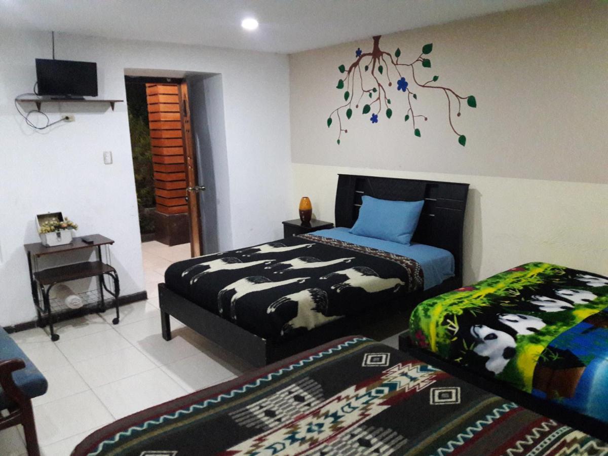 The Backpacker Hostal Ibarra Zewnętrze zdjęcie